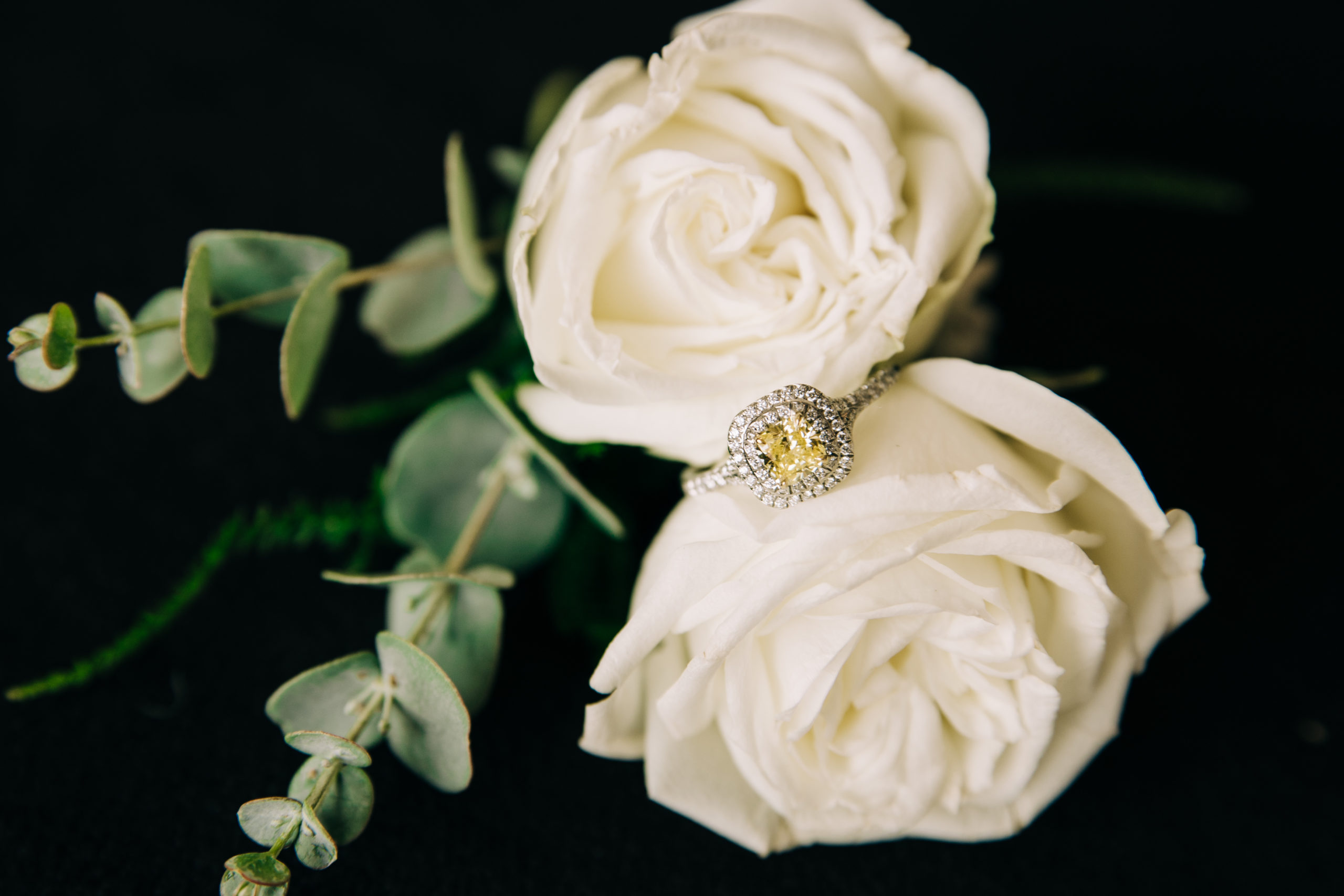 tucson-wedding-photographer---tucson-wedding---tucson-wedding-planning---wedding-planning-tips---tucson-florist---yellow-diamond-ring---boutonneire---wedding-florist